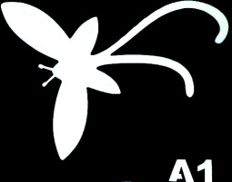 Csill&aacute;m tetov&aacute;l&oacute; sablon 5x8cm TS-A1  -A1