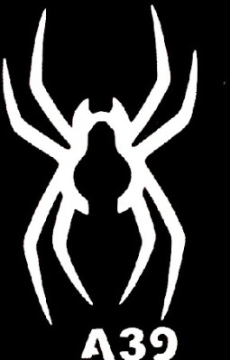 Csill&aacute;m tetov&aacute;l&oacute; sablon 5x8cm TS-A39  A39