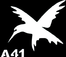 Csill&aacute;m tetov&aacute;l&oacute; sablon 5x8cm TS-A41  A41