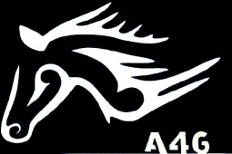 Csill&aacute;m tetov&aacute;l&oacute; sablon 5x8cm TS-A46  A46