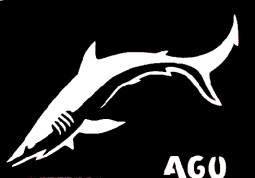 Csill&aacute;m tetov&aacute;l&oacute; sablon 5x8cm TS-A60  A60