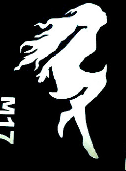 Csill&aacute;m tetov&aacute;l&oacute; sablon 5x8cm TS-M17  M17