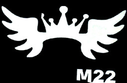 Csill&aacute;m tetov&aacute;l&oacute; sablon 5x8cm TS-M22  M22